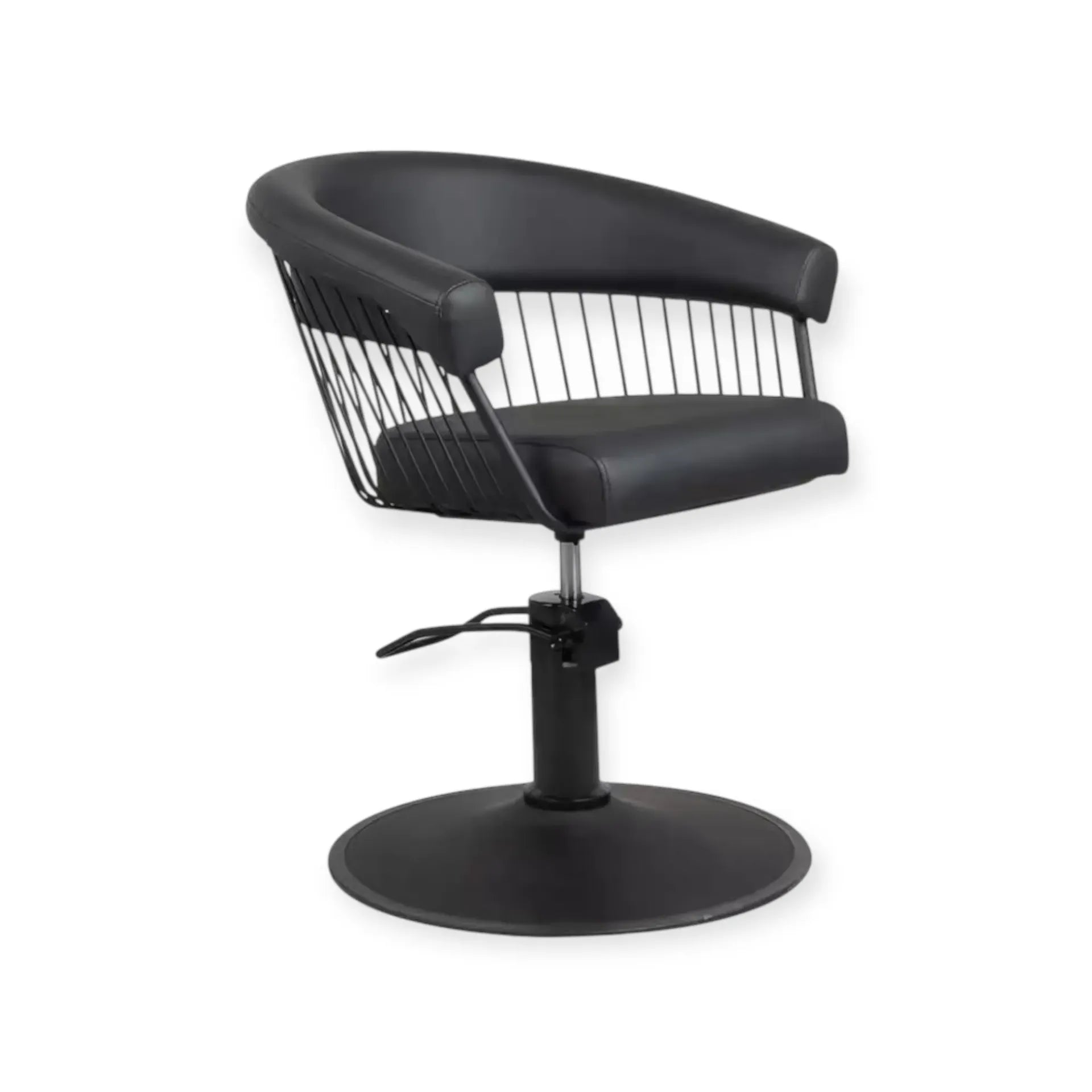 Salon Chair FR-88064-C4 | All Black | Black (004)